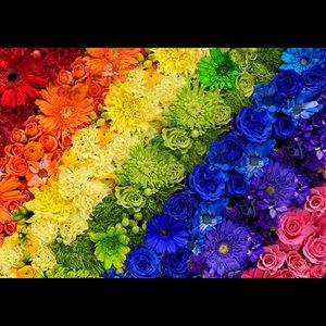 Meet your Posher, Lacey